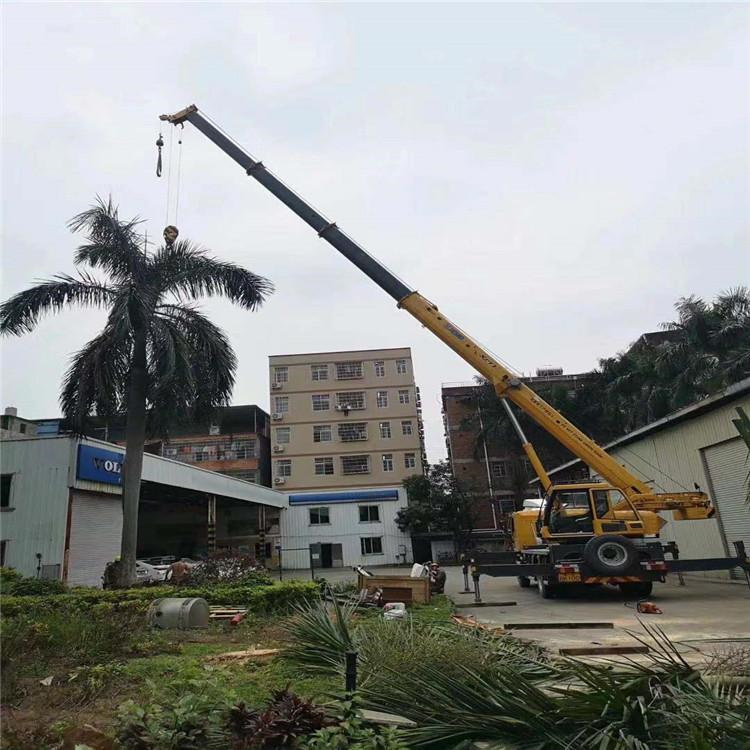 唐县汽车吊出租多少钱？全面解析与市场行情